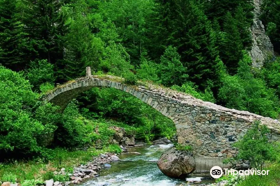 Altindere Vadisi National Park