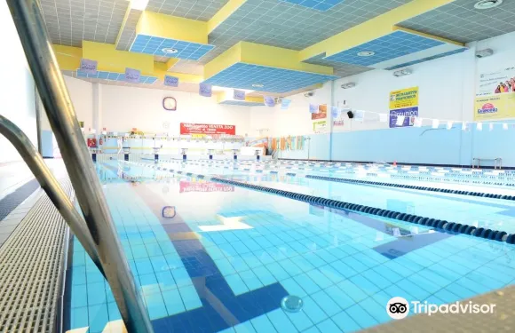 昆託－迪特雷維索