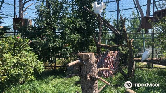 Gosudarstvennyy Zoologicheskiy Park Udmurtii