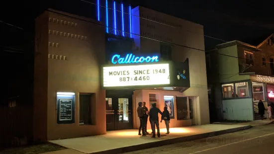 Callicoon Theater