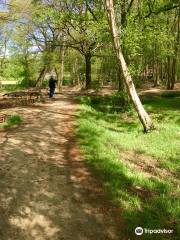 Sanctuary Wood Museum