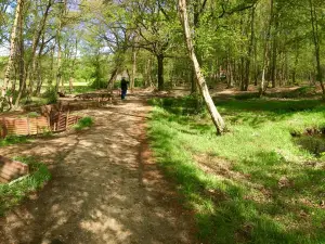 Sanctuary Wood Museum