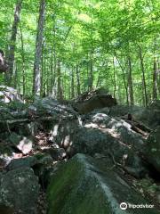 Boulder Loop Trailhead