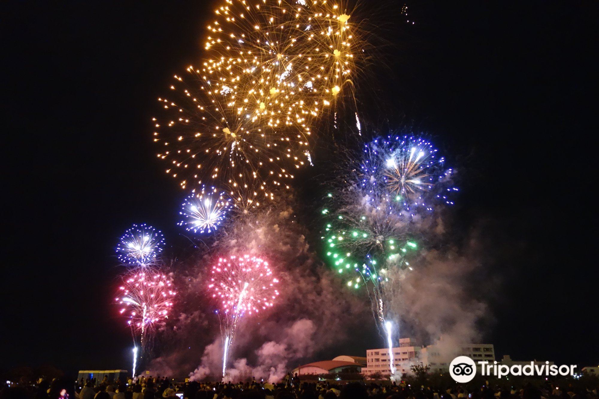 Oyama Fireworks | 오야마