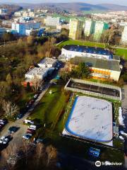 Ice rink Vodova