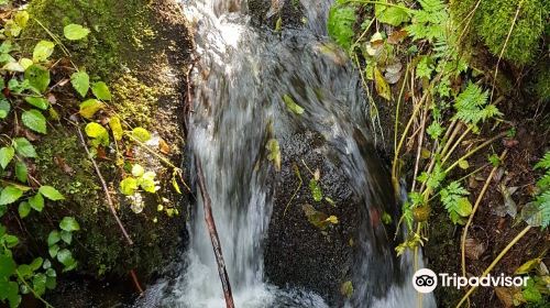 Cascade du Trador