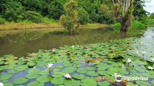 Hampstead Wetlands Park