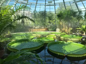 Orto botanico dell'Università di Uppsala