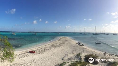 Tobago Cays