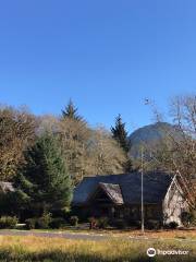 Quinault Big Cedar