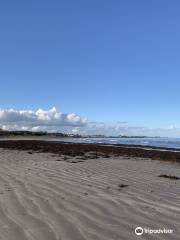 Ballywalter Beach & Park