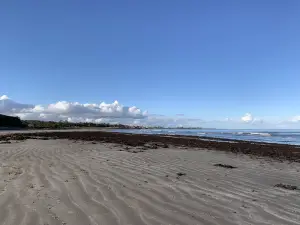발리월터 비치 & 공원