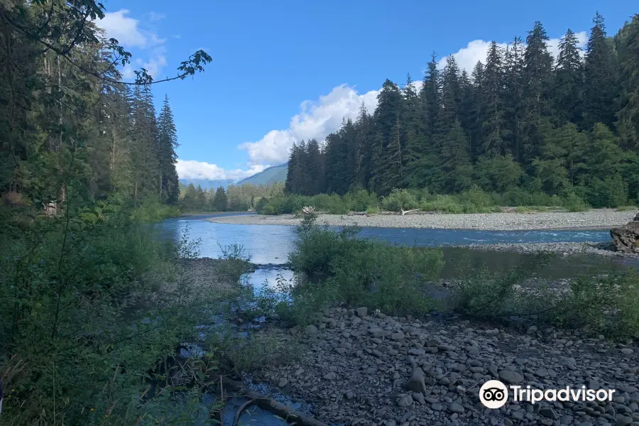 Hoh River Trailhead