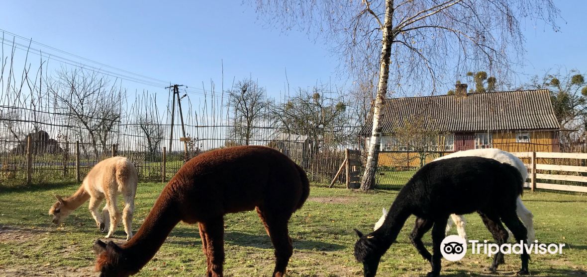 Gmina Radecznica Travel Guide 2023 Things to Do, What To Eat & Tips