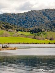 Lake Okareka Reserve and Walkway