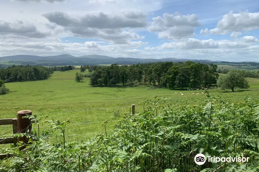 Chillingham Wild Cattle Association