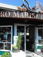 Arthur D. Feiro Marine Life Center