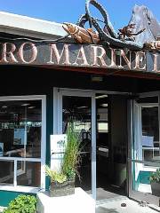 Feiro Marine Life Center