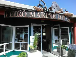 Arthur D. Feiro Marine Life Center