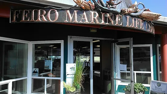 Feiro Marine Life Center