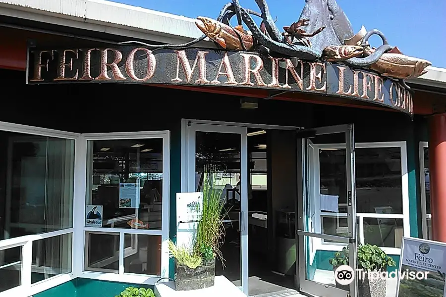 Arthur D. Feiro Marine Life Center