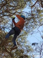 Kletterwald BinzProra Uwe Häusler