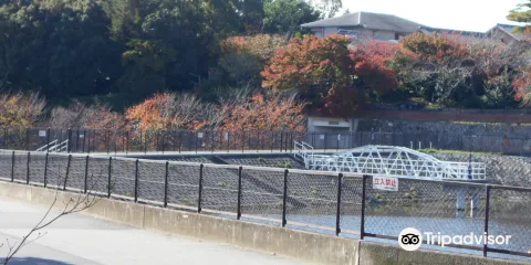 Niteko Pond