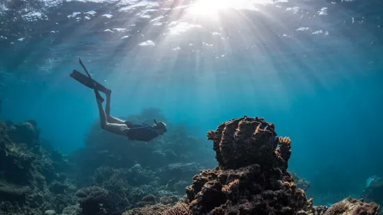 Ningaloo Reef Dive & Snorkel