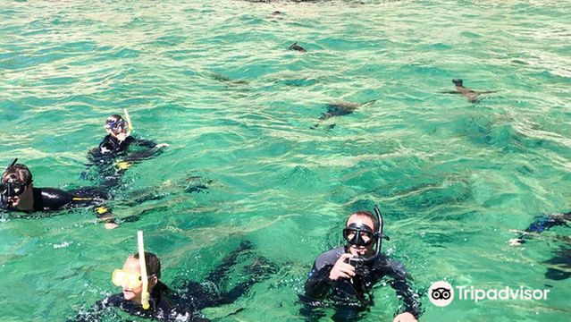 ProDive Scuba Diving Centre Plettenberg Bay