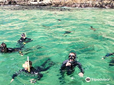 ProDive Scuba Diving Centre Plettenberg Bay