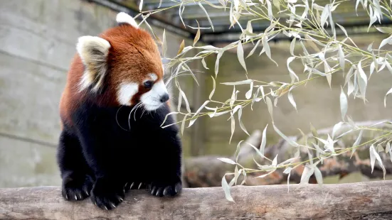 ユーティカ動物園