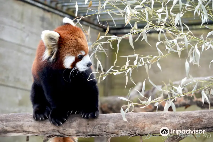 ユーティカ動物園