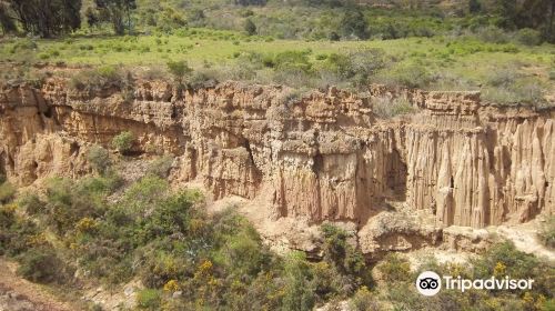 Desierto de la Tatacoita