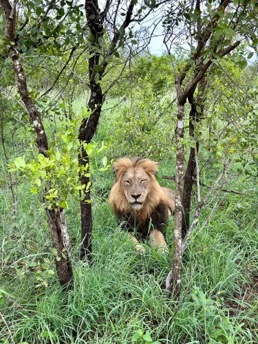Sabie Park