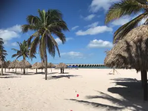 Malecón de Progreso