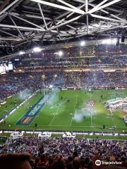 Stadium Australia