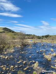 Sandnes Figgjoelva Gjesdal