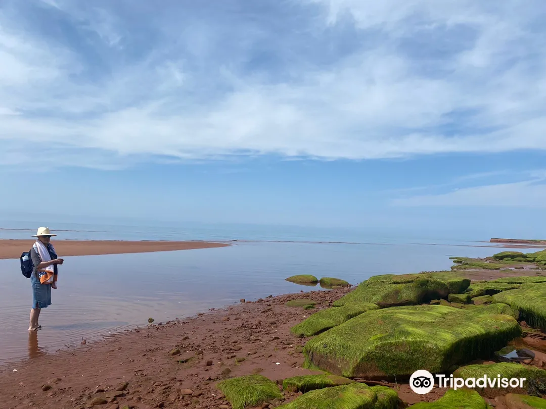 4_Argyle Shore Provincial Park