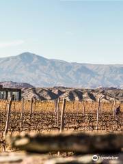 Estancia Los Cardones