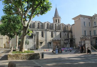 Carpentras Cathedral