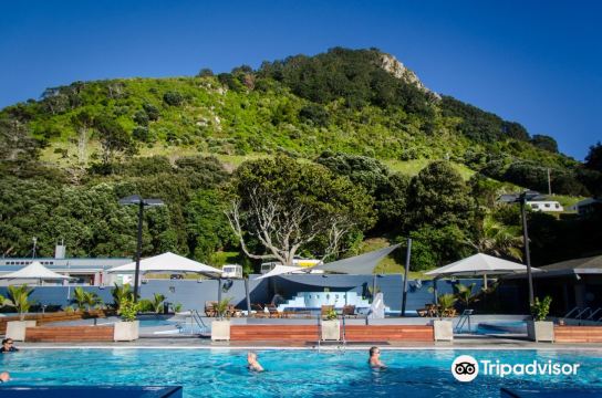 Tauranga