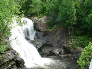 Cherokee National Forest