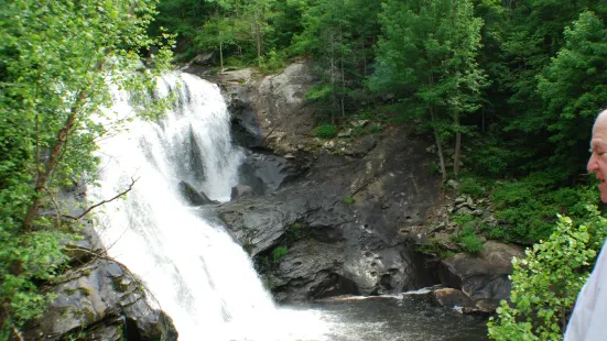 Cherokee National Forest