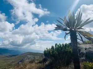 Parque Nacional Natural Chingaza