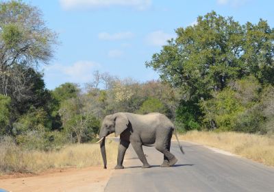 Phabeni Gate - Kruger National Park