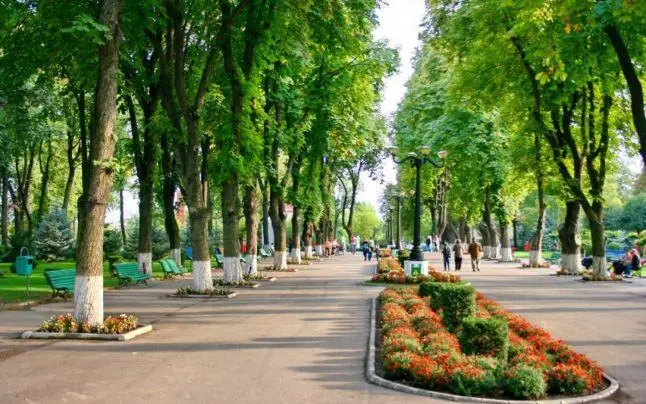Vaslui