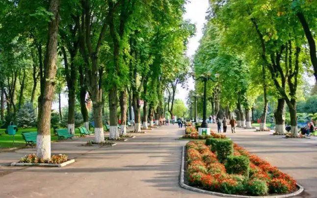 Hotels in Vaslui
