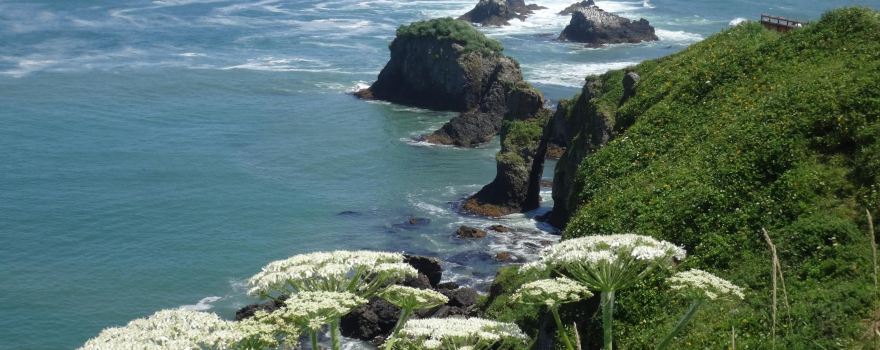 Cape Kiritappu misaki