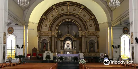 National Shrine of Mary Help of Christian