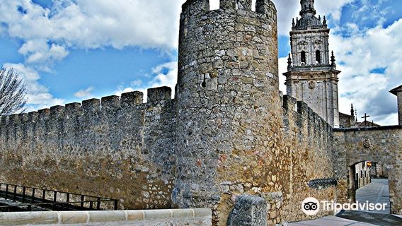 Catedral de la Asuncion de El Burgo de Osma